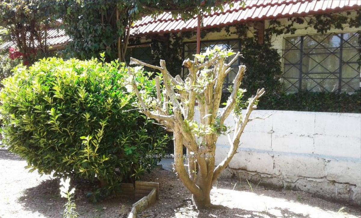 2 bedrooms House in Montevideo, Uruguay No. 5445