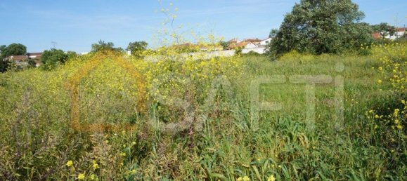 8765m² Land in Alcobaca, Portugal No. 90887 4