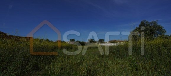 8765m² Land in Alcobaca, Portugal No. 90887 7