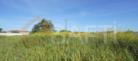 8765m² Land in Alcobaca, Portugal No. 90887 2