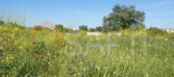 8765m² Land in Alcobaca, Portugal No. 90887 6