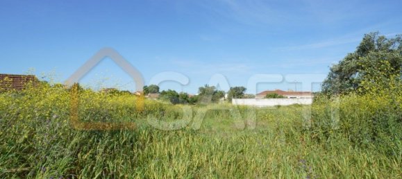 8765m² Land in Alcobaca, Portugal No. 90887 3