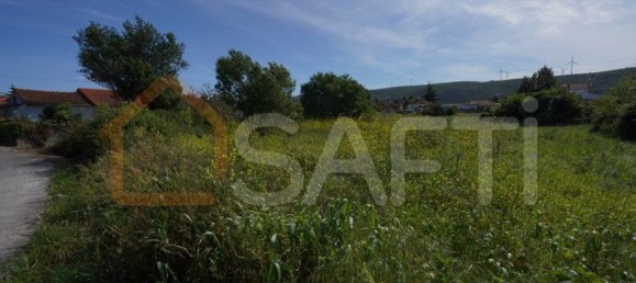 8765m² Land in Alcobaca, Portugal No. 90887 8