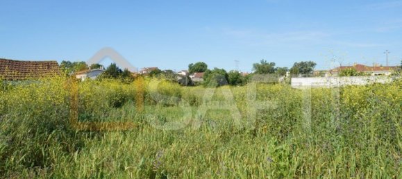 8765m² Land in Alcobaca, Portugal No. 90887 5