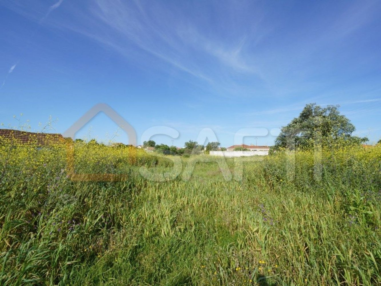 8765m² Land in Alcobaca, Portugal No. 90887