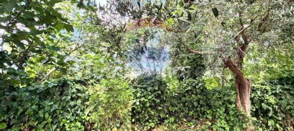 3 bedrooms House in Frisa, Italy No. 294164 7