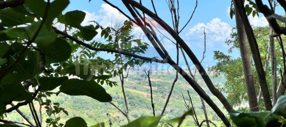 3 bedrooms House in Frisa, Italy No. 294164 6