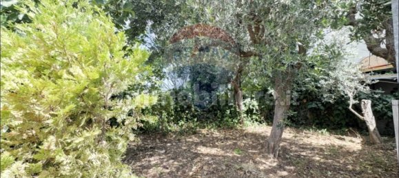 3 bedrooms House in Frisa, Italy No. 294164 12