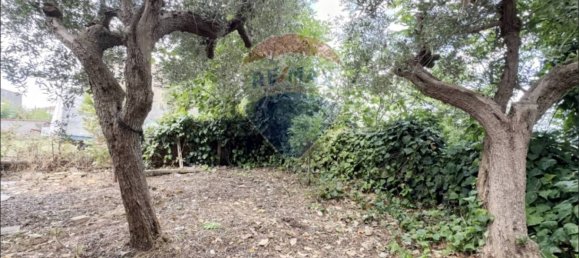 3 bedrooms House in Frisa, Italy No. 294164 8