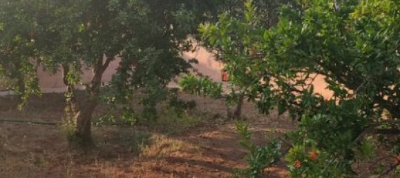 1 غرف نوم عقار تجاري في Lavrio, Greece رقم 70127 12