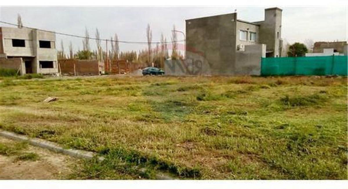 Grundstück in Rio Negro, Argentina, Nr. 35333