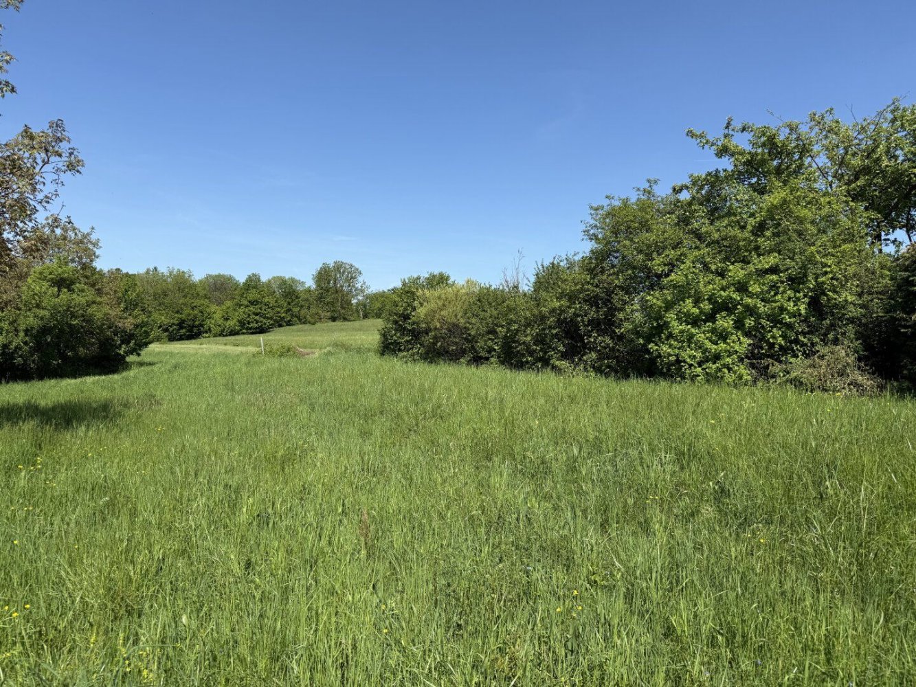  Land in St. Andra-Wordern, Austria No. 192634