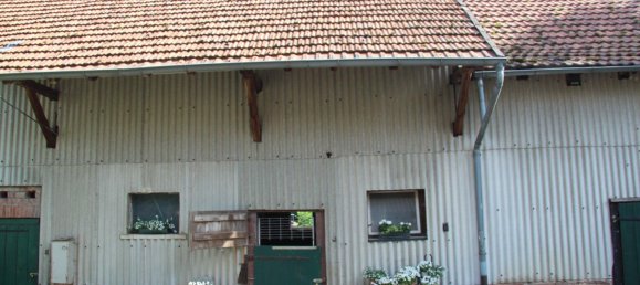 6 rooms Farm in Vogelsbergkreis, Germany No. 234751 5