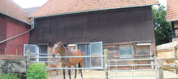 6 rooms Farm in Vogelsbergkreis, Germany No. 234751 9