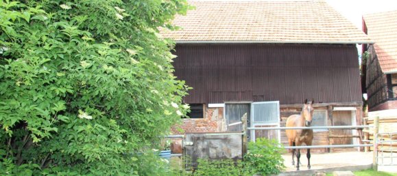 6 rooms Farm in Vogelsbergkreis, Germany No. 234751 10