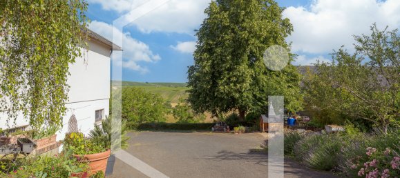 4 chambres Maison à Sancerre, France No. 63991 22