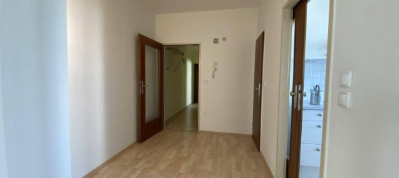 2 rooms Apartment in Maria Enzersdorf, Austria No. 255519 6