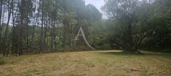 Terrain à Céré-la-Ronde, France No. 252561 4