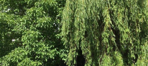 Gewerbliche Immobilie in Bamberg, Germany 510m², Nr. 153025 16