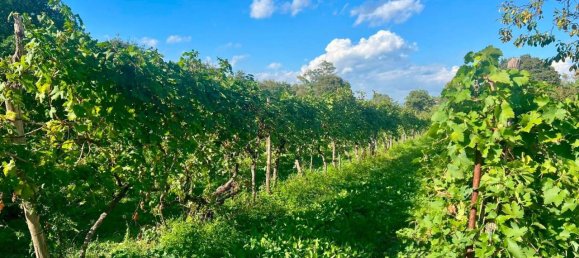 11 rooms House in Castelnuovo del Garda, Italy No. 157591 7