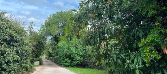 11 rooms House in Castelnuovo del Garda, Italy No. 157591 9