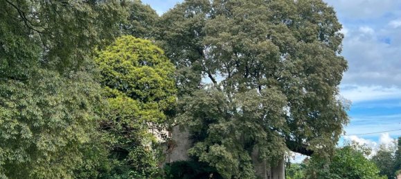 11 rooms House in Castelnuovo del Garda, Italy No. 157591 8