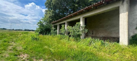 11 rooms House in Castelnuovo del Garda, Italy No. 157591 2