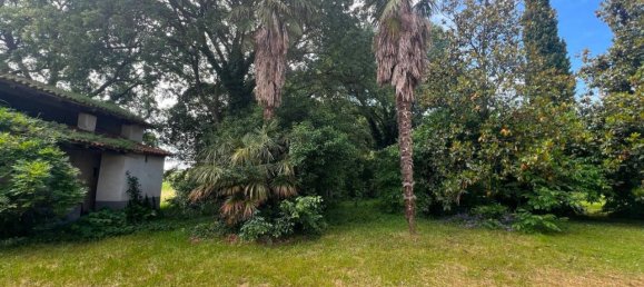 11 rooms House in Castelnuovo del Garda, Italy No. 157591 11