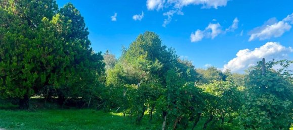 11 rooms House in Castelnuovo del Garda, Italy No. 157591 6