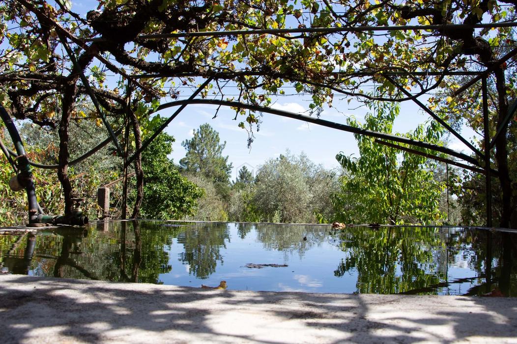 6 غرف نوم قلاع في Ferreira do Zezere, Portugal رقم 263887