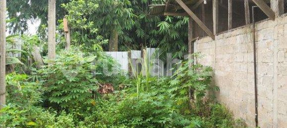 300m² Warehouse in Gunung Sindur, Indonesia No. 1781 8