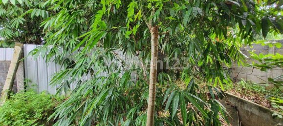 300m² Warehouse in Gunung Sindur, Indonesia No. 1781 21