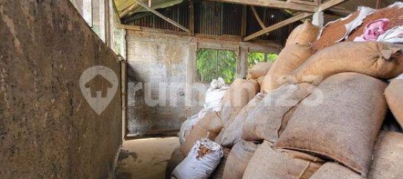 300m² Warehouse in Gunung Sindur, Indonesia No. 1781 40