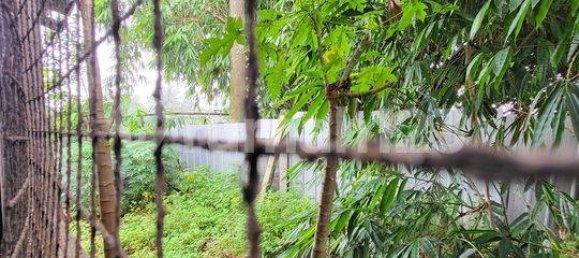 300m² Warehouse in Gunung Sindur, Indonesia No. 1781 22