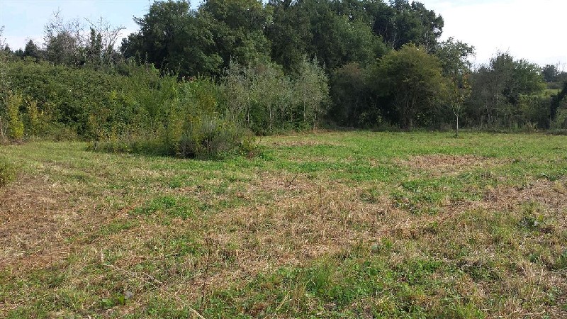 4050m² Land in Villamblard, France No. 101660