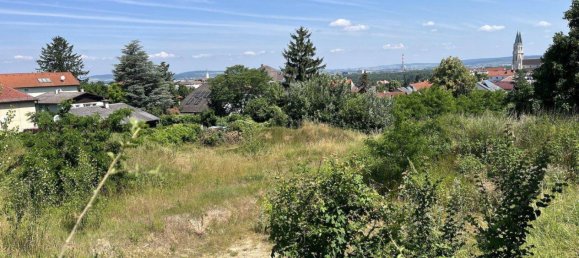 4135m² Land in Klosterneuburg, Austria No. 167240 3