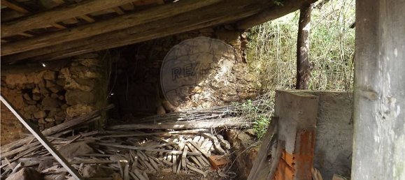 4 Schlafzimmer Haus in Ferreira do Zezere, Portugal, Nr. 20123 29