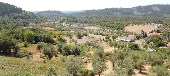 4 Schlafzimmer Haus in Ferreira do Zezere, Portugal, Nr. 20123 12