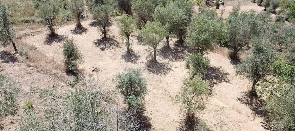 4 Schlafzimmer Haus in Ferreira do Zezere, Portugal, Nr. 20123 6