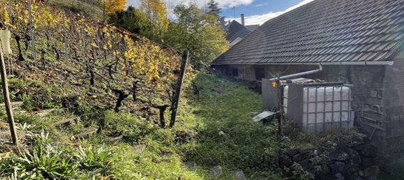 10غرفة منزل في Thann, France رقم 68475 9