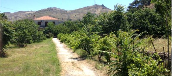 4 غرف نوم عقار تجاري في Lesbos, Greece رقم 6471 4