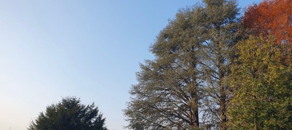 2 chambres Appartement à Turin, Italy No. 314085 30