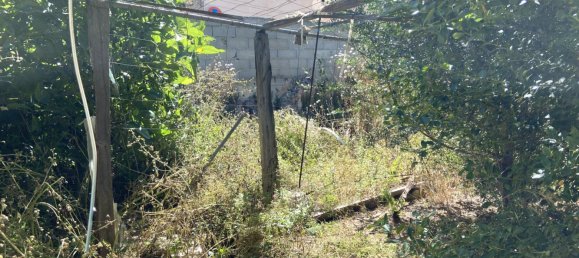 Terreno en Muro, Spain No. 168284 3