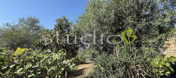 6 rooms Apartment in Perinaldo, Italy No. 306346 31