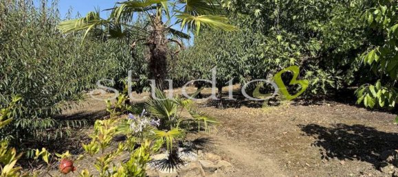 6 rooms Apartment in Perinaldo, Italy No. 306346 27