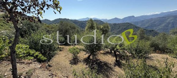 6 rooms Apartment in Perinaldo, Italy No. 306346 25