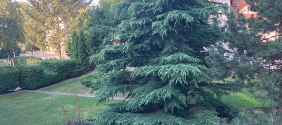 3غرفة شقة في Oder-Spree, Germany رقم 112802 3