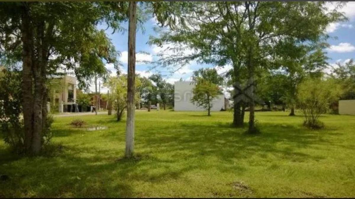 Grundstück in San Vicente, Argentina, Nr. 120237