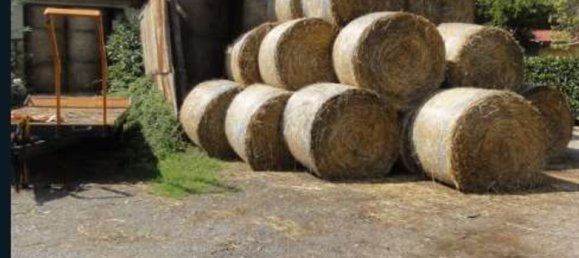 Studio in Colleferro, Italy No. 203036 2