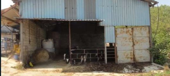 Studio in Colleferro, Italy No. 203036 8